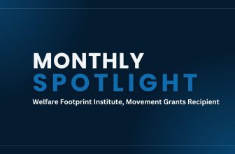 Monthly Spotlight: Welfare Footprint Institute