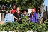 UC Master Gardener of San Diego County’s ‘labor of love’ improves health of older adults – Food Blog