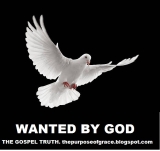 WANTED BY GOD