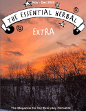 The Essential Herbal Blog: EXTRA! November December 2024