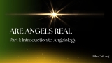 Are Angels Real: Part 1