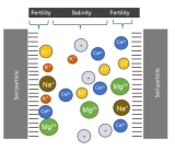 Evaluating the Base Cation Saturation Ratio (BCSR) Approach to Fertilizer Recommendations