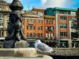 The Ultimate Guide to Visiting Dublin with Teenagers Without a Rental Car