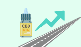 The Long-Term Effects of CBD: 10 Key Insights