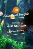 10 Educational Benefits of Aquarium Visits