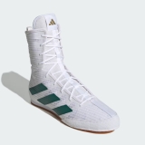 IH2731 adidas Box Hog 4 Cloud White Collegiate Green Core Black (Men’s)