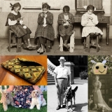 Fidos and Fiber Arts: October Celebration Days