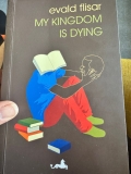 My Kingdom is dying by Evald Filsar