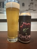 Burial Beer Co. Bohemian Pilsner – Best Beer Blog