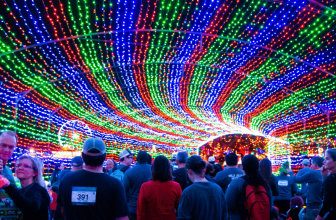 Winter is Coming: Austin Trail of Lights Tickets ON SALE NOW and Backed with a Weather Guarantee – Ticketbud | Sell Event Tickets Online