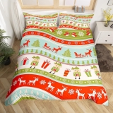 Themed Bedding for Girls Boys Kids Happy New Year Bedding Set Queen Size