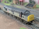 Bachmann Branchline OO Gauge Class 37/5 – Transrail Livery – DCC Fitted