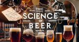 The Science of Beer – A Scientific Outlook of Beer Production