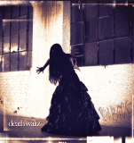 RAVEN BLACK Unveils Haunting NEW Single “DEATH WALTZ” A Macabre Masterpiece of Madness and Metal – The Noise Beneath The Snow