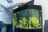 Setting Up Your First Aquarium — Aquarium Adventure Columbus
