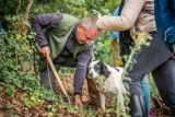 Truffle Hunting in Tuscany