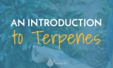 An Introduction to Terpenes