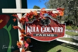 The Maui Pumpkin Patch at Kula Country Farms: A Fall Experience on the Valley Isle