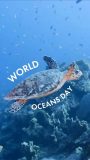 We all depend on the #ocean  | World Oceans Day 🌊