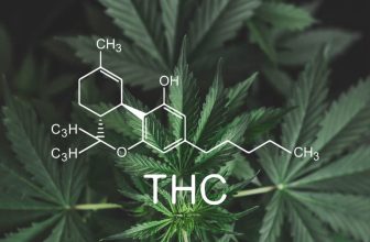 Your Official 2024 and Beyond Guide to Delta 9 THC