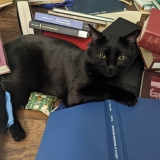 Fireside Friday, January 10, 2025 – A Collection of Unmitigated Pedantry