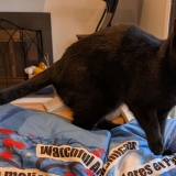 Fireside Friday, April 4, 2025 – A Collection of Unmitigated Pedantry