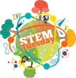 STEM Tuesday- Cephalopods – In the Classroom