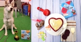 Looking For Dog Food? Check Out This Startup’s Tasty Canine Cakes