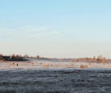 How a Fall Pasture Walk Actually Boosts Spring Growth