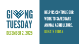 5 reasons you should support animal agriculture this Giving Tuesday  