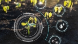 Beyond Disruption: Earning Trust and Driving Impact in AgTech Through Grower-Led Innovation
