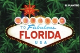 Cannabis Legalization Headed For The Ballot Again In Florida: Advocates Launch New Amendment Initiative – Green Thumb Industries (OTC:GTBIF), AdvisorShares Trust AdvisorShares Pure US Cannabis ETF (ARCA:MSOS)