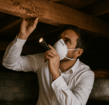 How Termites Can Destroy Your Home