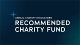Recommended Charity Fund: February 2025 Update