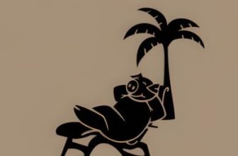 Income Growth Investing and Cashflow for Life