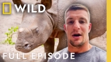 Rhino Baby Gronk (Full Episode) | Secrets of the Zoo: Tampa | Nat Geo Animals