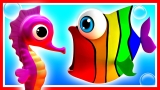 Learn Shapes with Rainbow Fish