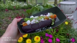 Vegan Smoky Carrot Dog at Comet Dogs | Universal Epic Universe