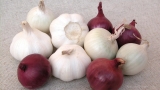 How garlic, ginger and green onions fight cancer and heart disease
