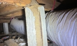 Breaking the Cycle of Termite Damage: A Cheltenham Timber Pest Inspection Success Story