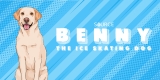 Our Friend Benny the Ice Skating Dog