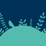 Beans to Bloom: Collect your free bag today!