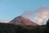 Ash cloud from Flores Island volcano grounds Bali flights