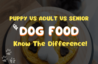 What Is The Difference Between Puppy, Adult, And Senior Dog Foods?