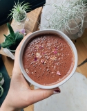 Ceremonial Cacao Recipe: Heart Opening Rose Elixir