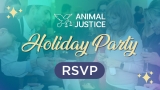 Join Animal Justice’s 2024 Toronto Holiday Party