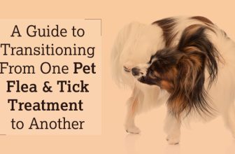 A Guide to Transitioning From One Pet Flea & Tick Treatment to Another