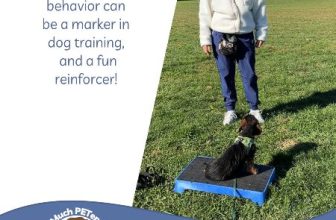 Using Cues And Markers To Be A More Effective Dog Trainer |