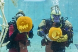 Trick or Treat with the Fishes as Clearwater Marine Aquarium Hosts Halloween Spookquarium Oct. 31
