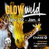 Glow Wild Returns to the Birmingham